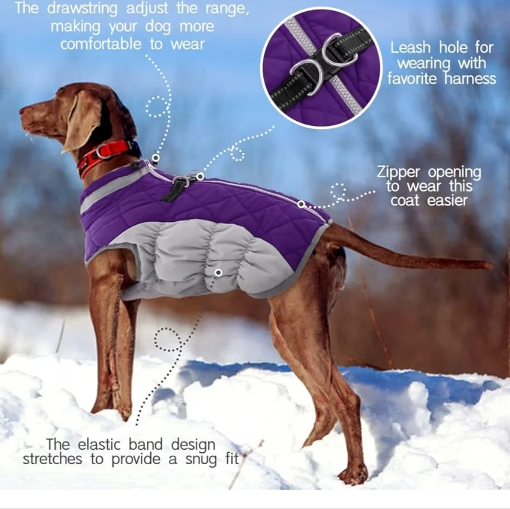 Purple and Gray Dog Jacket Medium NWOT